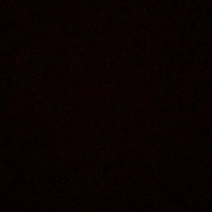 Meet your Posher, Isabel